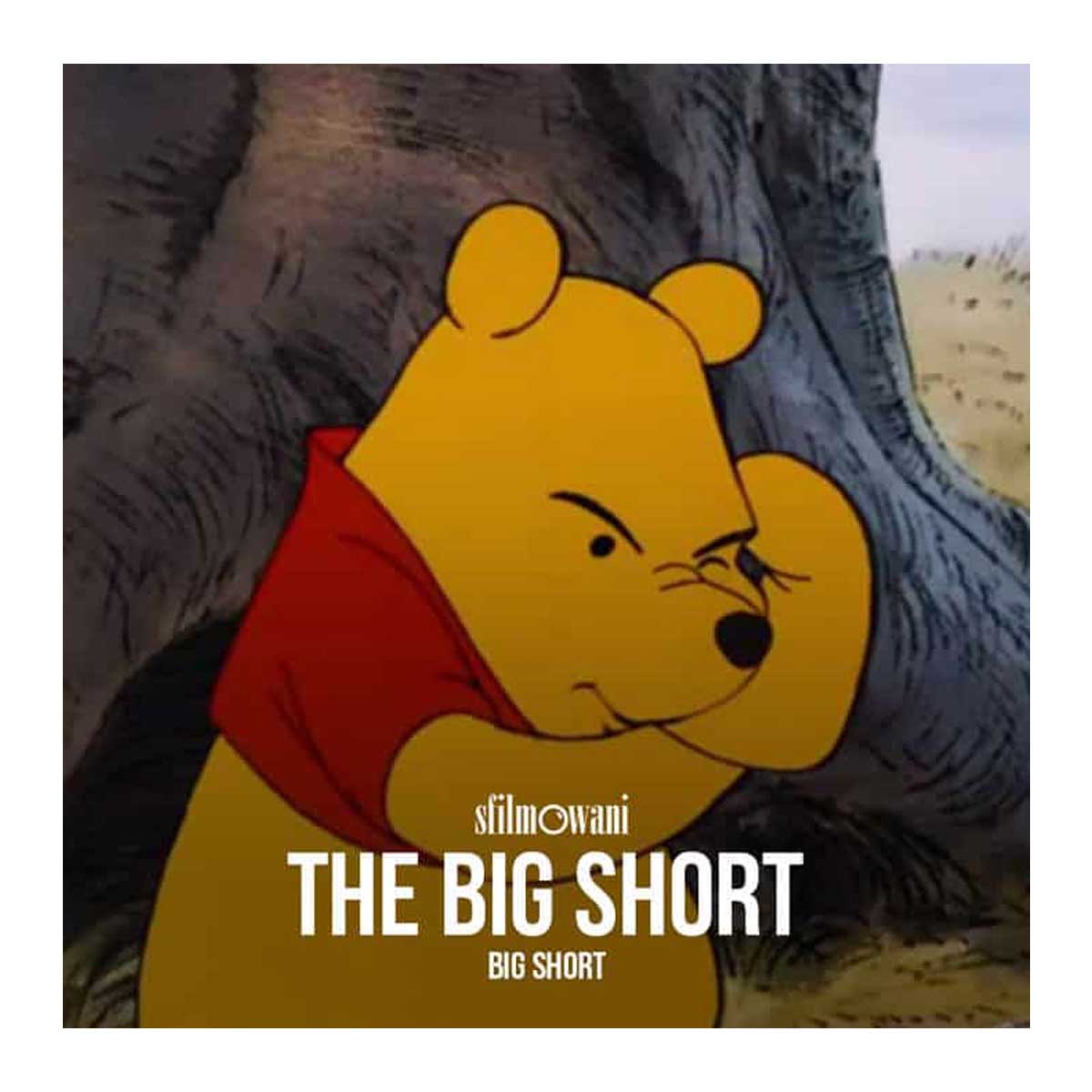 Big pooh. Винни-пух. Винни пух 1969. Си Цзиньпин Винни пух.